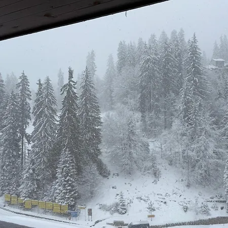 Pamporovo Living Cozy Mountain Daire