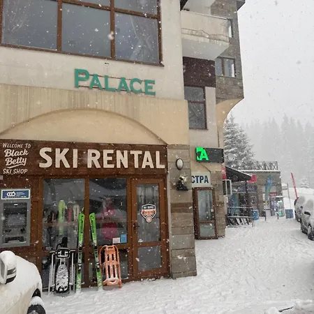 Pamporovo Living Cozy Mountain Daire Pamporovo