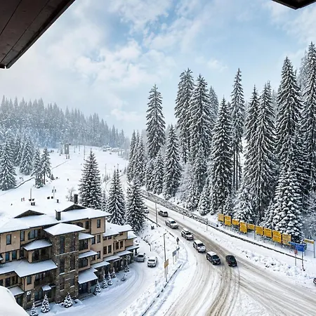 Living Cozy Mountain