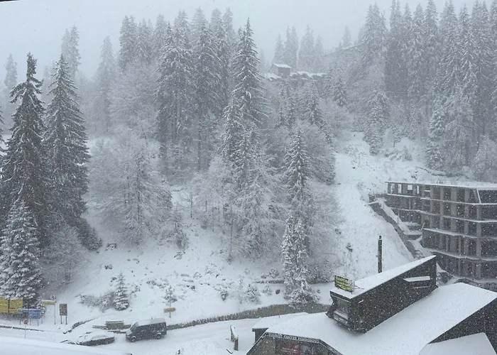 Pamporovo Living Cozy Mountain Apartment