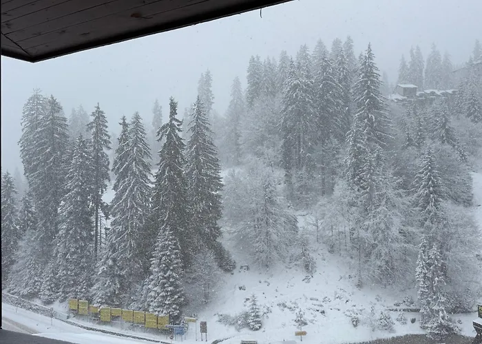 Pamporovo Living Cozy Mountain Apartment