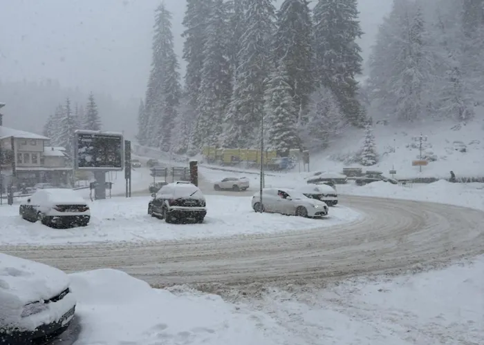 Pamporovo Living Cozy Mountain